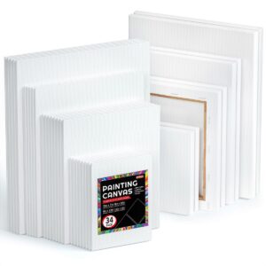 Shuttle 34-pack Art Canvas For Painting